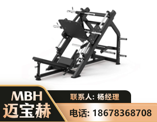 潍坊45°倒蹬训练器