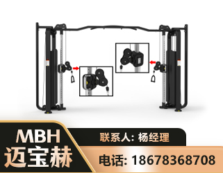 潍坊大飞鸟训练器
